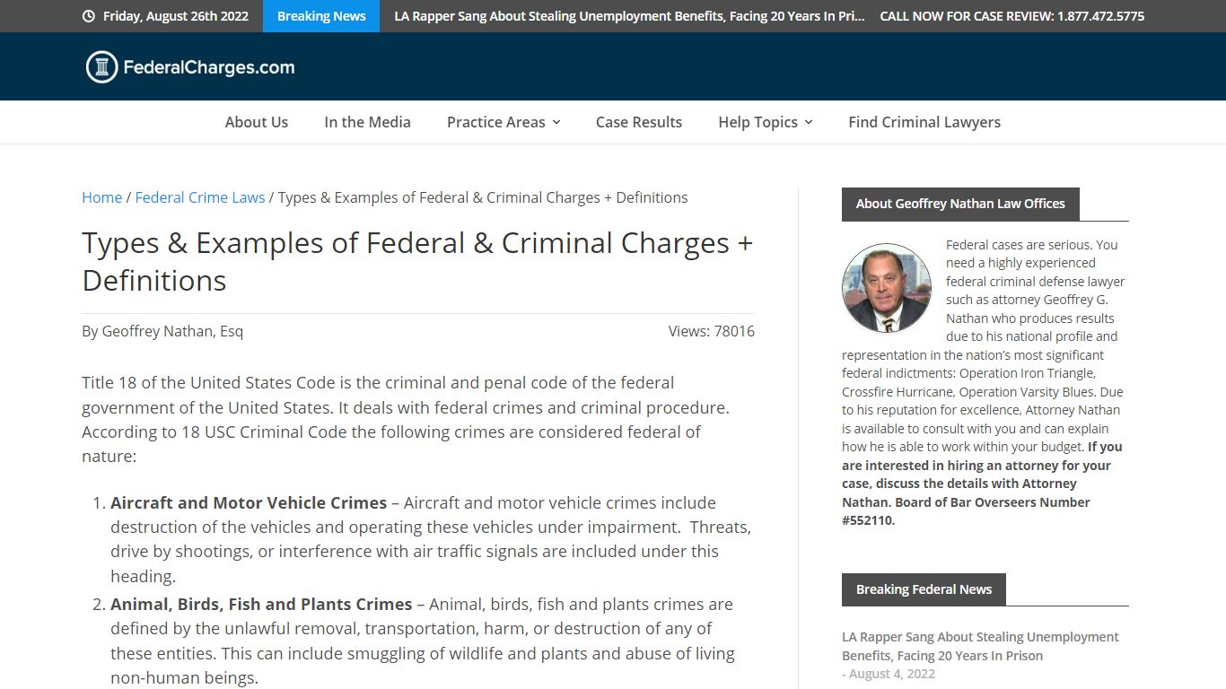 Types & Examples of Federal & Criminal Charges + Definitions